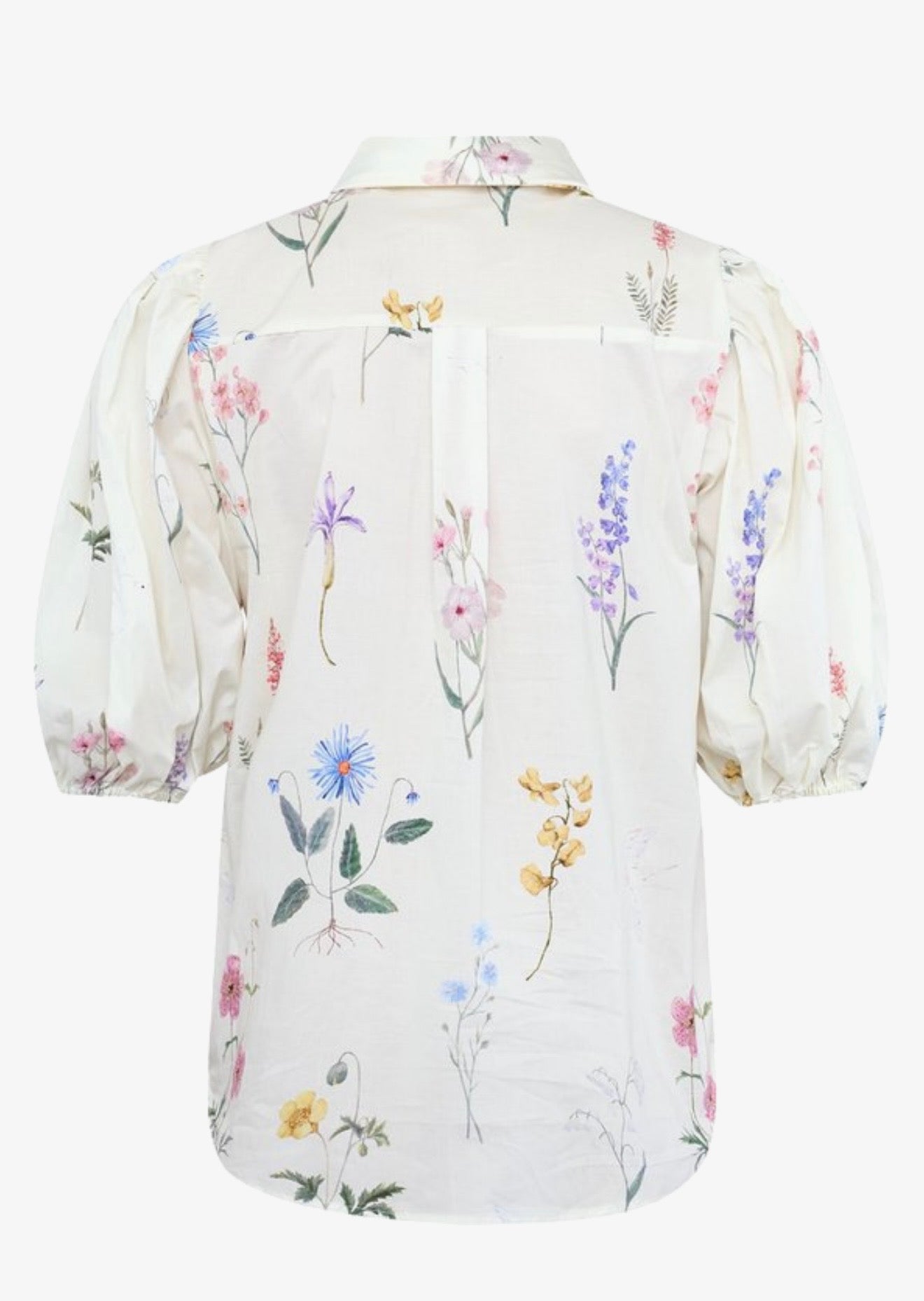 SP ELLA-SH8O Light Wild Flower